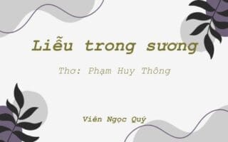 Cảm nhận bài thơ: Liễu trong sương – Huy Thông