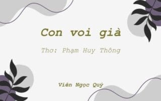 Cảm nhận bài thơ: Con voi già – Huy Thông