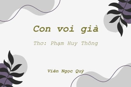Cảm nhận bài thơ: Con voi già – Huy Thông