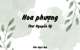 Cảm nhận bài thơ: Hoa phượng – Nguyễn Vỹ