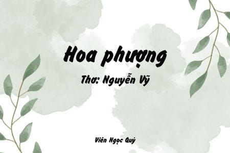 Cảm nhận bài thơ: Hoa phượng – Nguyễn Vỹ