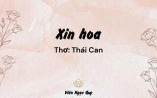 Cảm nhận bài thơ: Xin hoa – Thái Can