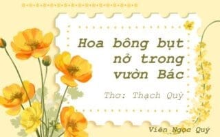 Cảm nhận bài thơ: Hoa bông bụt nở trong vườn Bác – Thạc Quỳ