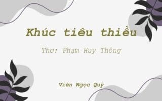 Cảm nhận bài thơ: Khúc tiêu thiều – Huy Thông