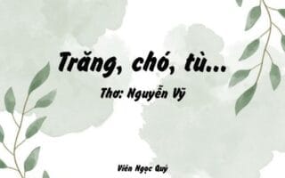 Cảm nhận bài thơ: Trăng, chó, tù… – Nguyễn Vỹ