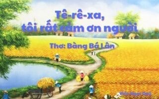 Cảm nhận bài thơ: Tê-rê-xa, tôi rất cảm ơn người – Bàng Bá Lân