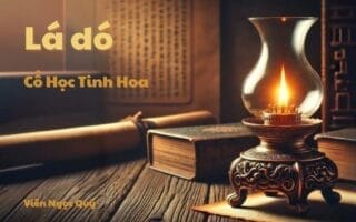 Cổ học tinh hoa: Lá dó