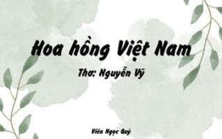 Cảm nhận bài thơ: Hoa hồng Việt Nam – Nguyễn Vỹ