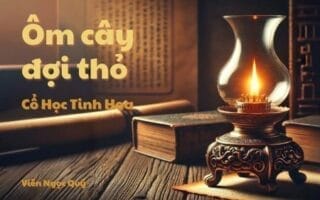 Cổ học tinh hoa: Ôm cây đợi thỏ