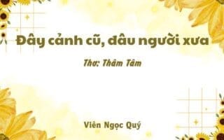 Cảm nhận bài thơ: Đây cảnh cũ, đâu người xưa – Thâm Tâm