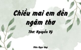 Cảm nhận bài thơ: Chiều mai em đến ngâm thơ – Nguyễn Vỹ