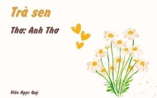 Cảm nhận bài thơ: Trà sen – Anh Thơ