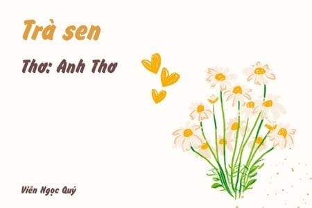 Cảm nhận bài thơ: Trà sen – Anh Thơ