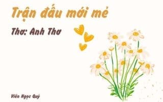 Cảm nhận bài thơ: Trận đấu mới mẻ – Anh Thơ