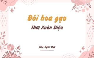 Cảm nhận bài thơ: Đôi hoa gạo – Xuân Diệu