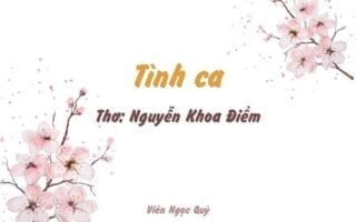 Cảm nhận bài thơ: Tình ca – Nguyễn Khoa Điềm