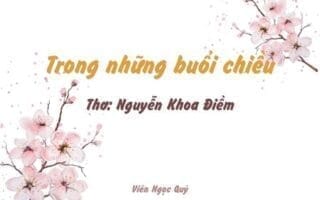 Cảm nhận bài thơ: Trong những buổi chiều – Nguyễn Khoa Điềm