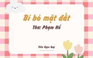 Cảm nhận bài thơ: Bí bò mặt đất – Phạm Hổ