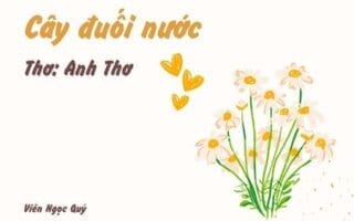 Cây đuối nước