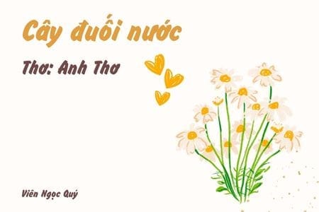 Cây đuối nước