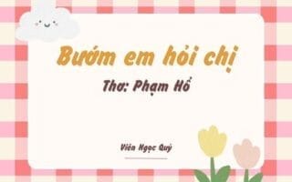 Cảm nhận bài thơ: Bướm em hỏi chị – Phạm Hổ