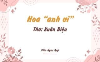 Cảm nhận bài thơ: Hoa “anh ơi” – Xuân Diệu