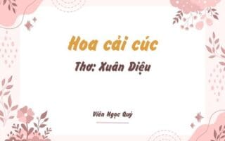 Cảm nhận bài thơ: Hoa cải cúc – Xuân Diệu
