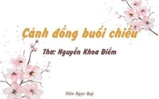 Cảm nhận bài thơ: Cánh đồng buổi chiều – Nguyễn Khoa Điềm