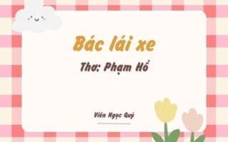 Cảm nhận bài thơ: Bác lái xe – Phạm Hổ