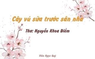 Cảm nhận bài thơ: Cây vú sữa trước sân nhà – Nguyễn Khoa Điềm