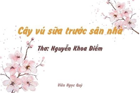 Cảm nhận bài thơ: Cây vú sữa trước sân nhà – Nguyễn Khoa Điềm