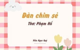 Cảm nhận bài thơ: Đàn chim sẻ – Phạm Hổ