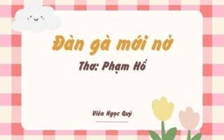 Cảm nhận bài thơ: Đàn gà mới nở – Phạm Hổ