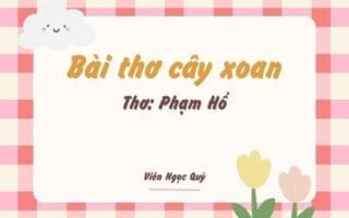 Cảm nhận bài thơ: Bài thơ cây xoan – Phạm Hổ