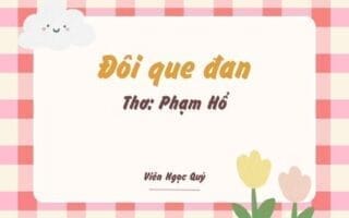 Cảm nhận bài thơ: Đôi que đan – Phạm Hổ