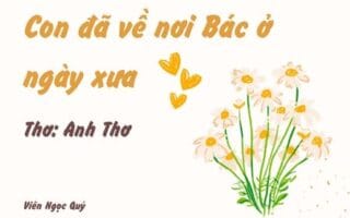 Cảm nhận bài thơ: Con đã về nơi Bác ở ngày xưa – Anh Thơ