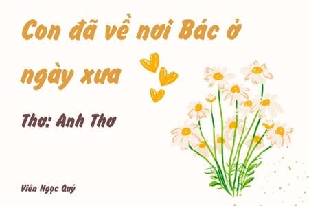 Cảm nhận bài thơ: Con đã về nơi Bác ở ngày xưa – Anh Thơ