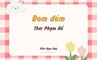 Cảm nhận bài thơ: Đom đóm – Phạm Hổ