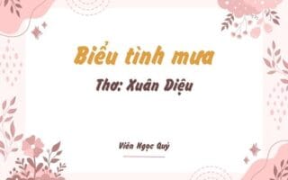 Cảm nhận bài thơ: Biểu tình mưa – Xuân Diệu