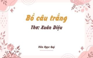 Cảm nhận bài thơ: Bồ câu trắng – Xuân Diệu