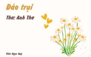 Cảm nhận bài thơ: Đảo trụi – Anh Thơ