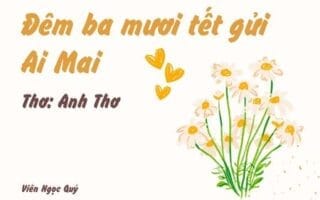 Cảm nhận bài thơ: Đêm ba mươi Tết – Anh Thơ