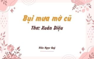 Cảm nhận bài thơ: Bụi mưa mờ cũ – Xuân Diệu