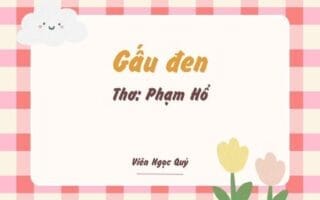 Cảm nhận bài thơ: Gấu đen – Phạm Hổ