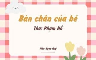 Cảm nhận bài thơ: Bàn chân của bé – Phạm Hổ