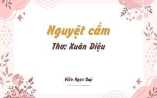 Cảm nhận bài thơ: Nguyệt cầm  – Xuân Diệu Nguyệt cầm