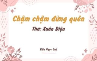 Cảm nhận bài thơ: Chậm chậm đừng quên – Xuân Diệu