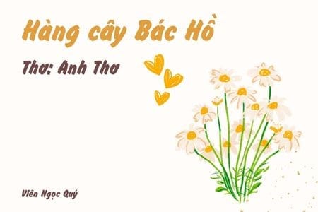 Cảm nhận bài thơ: Hàng cây Bác Hồ – Anh Thơ