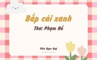 Cảm nhận bài thơ: Bắp cải xanh – Phạm Hổ