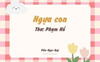 Cảm nhận bài thơ: Ngựa con – Phạm Hổ